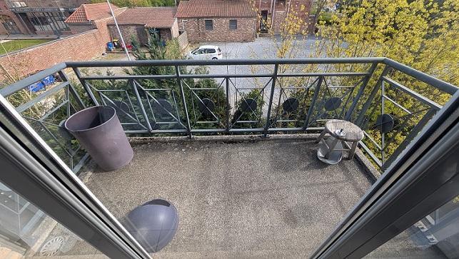 photo 12 du bien 185534
